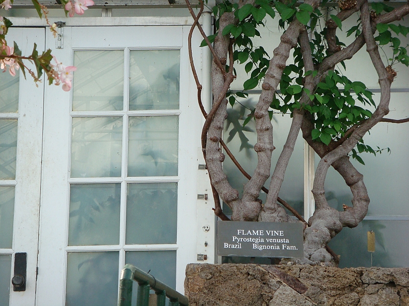 349 Longwood Gardens [2008 August 23].JPG - Longwood Gardens in Pennsylvania
